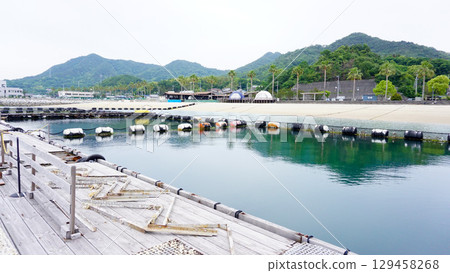 Dolphin Farm in Imabari City, Ehime Prefecture Dolphin Farm in Imabari City, Ehime Prefecture 129458268