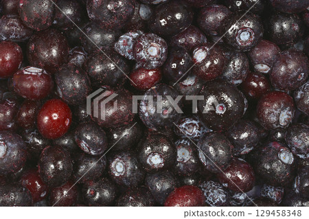 Freshly thawed blueberries Freshly thawed blueberries 129458348