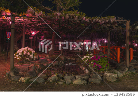Illuminated Kumano Nagafuji in Iwata City (Shizuoka Prefecture) 129458599