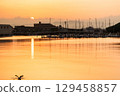 Hakodate Marina at dusk 129458857