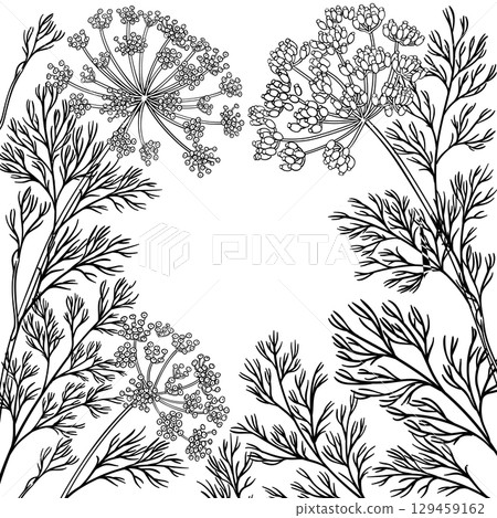 Dill Branch with Flowers Outline Frame. 129459162