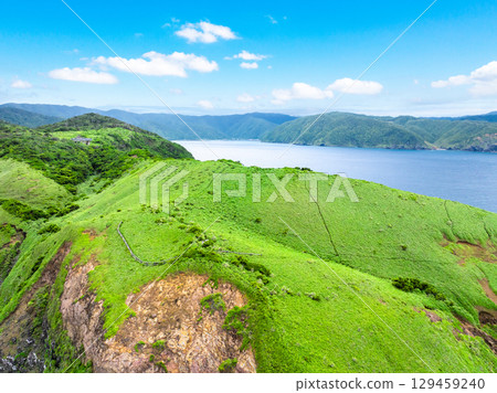 Miyakozaki Sasanto (Amami Oshima, Kagoshima Prefecture) 129459240