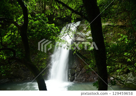 Otakigawa Otaki (Otaki) [Hidakagawa Town, Hidaka District, Wakayama Prefecture] 129459658