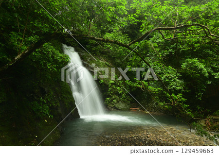 Otakigawa Otaki (Otaki) [Hidakagawa Town, Hidaka District, Wakayama Prefecture] 129459663