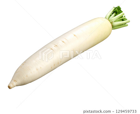 秋收蔬菜（蘿蔔、白蘿蔔） 129459733
