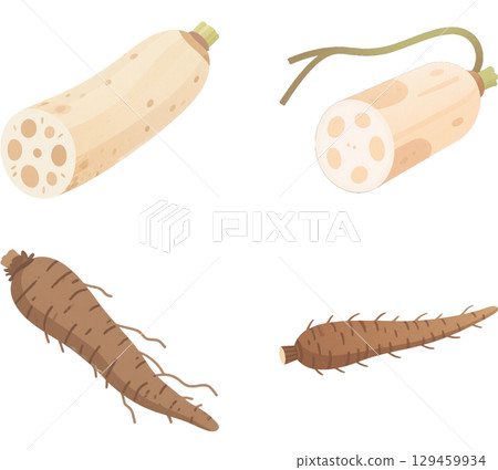 Set of 2 types of root vegetables Set of 2 types of root vegetables 129459934