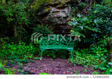 Secret bench in the forest 129460400