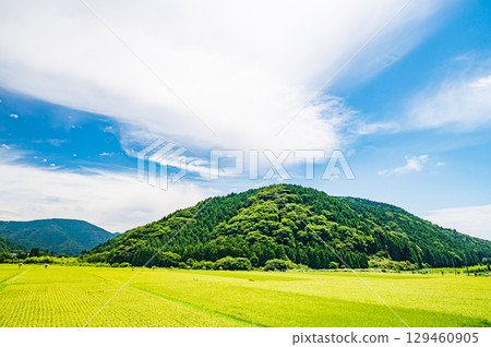 滋賀縣高島市牧野町寧靜的田園風光 129460905