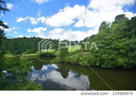 Kanda Oki Pond (Ishimichi, Koyasan Town) [Katsuragi Town, Wakayama Prefecture] 129460974