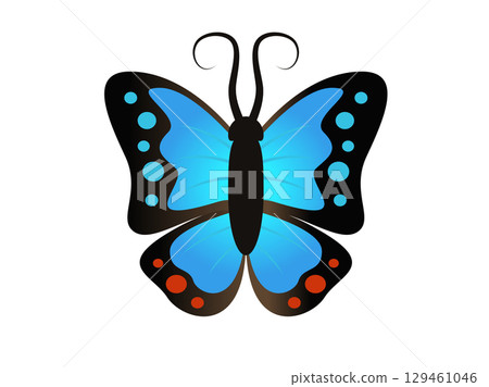 Beautiful winged insect butterfly icon with blue and black morpho wings outspread Beautiful winged insect butterfly icon with blue and black morpho wings outspread 129461046