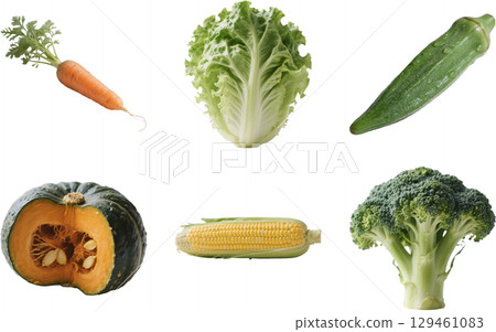 各種蔬菜的插圖 129461083