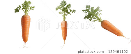 Carrots with leaves 129461102