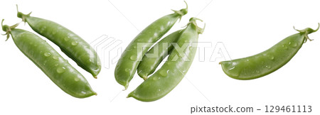 Realistic snap peas 129461113