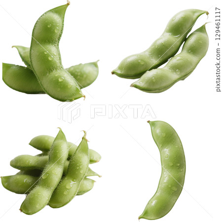 逼真的毛豆 129461117