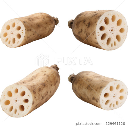 各種蓮藕 129461128