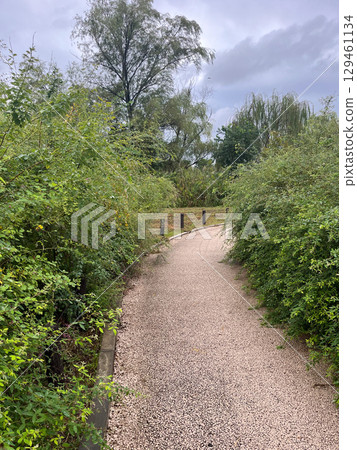 An endless promenade covered in lush vegetation [October] 129461134