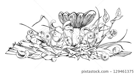 Russula cortinarius webcap mushroom, blueberry blackberry cranberry lingonberry branches on top of fallen autumn leaves pile with twigs. Forest floor natural illustration hand drawn in vector ink. 129461375