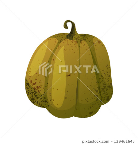 Pumpkin vegetable isolated. Vector icon of autumn edible plant. Sign for thanksgiving holiday or Halloween festive. Fall food and organic, healthy meal. Cooking, botany, agriculture and harvest sign. Pumpkin vegetable isolated. Vector icon of autumn edible plant. Sign for thanksgiving holiday or Halloween festive. Fall food and organic, healthy meal. Cooking, botany, agriculture and harvest sign. 129461643