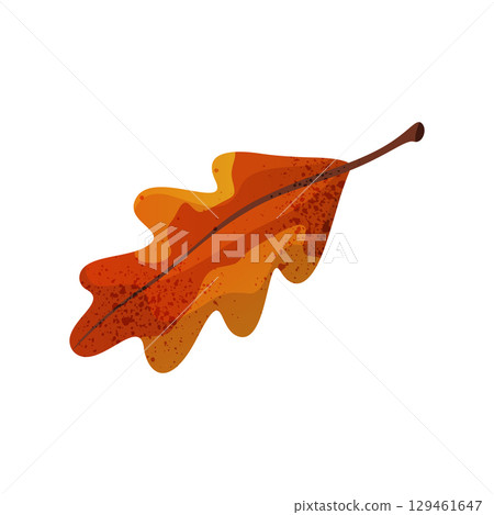 Vector oak leaf or tree autumn leaf print. Cartoon icon for fall wood flora or forest foliage. Botanical plant element. Garden preserved dried herbarium. Nature and biology, ecology, botany, taxonomy. Vector oak leaf or tree autumn leaf print. Cartoon icon for fall wood flora or forest foliage. Botanical plant element. Garden preserved dried herbarium. Nature and biology, ecology, botany, taxonomy. 129461647