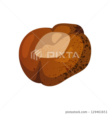 Autumn chestnut seed or fall forest nature. Vector isolated sign for wood wildlife flora or park tree foliage element. Roasted snack ingredient or seasonal natural plant food. Foraging and botany. 129461651