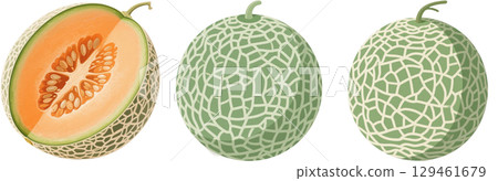 Cut melon 129461679