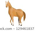 Watercolor style horse illustration 129461837