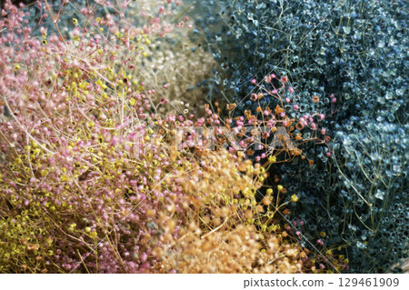 Dried herb aroma flowers in street market Chiang Mai, Thailand Dried herb aroma flowers in street market Chiang Mai, Thailand 129461909