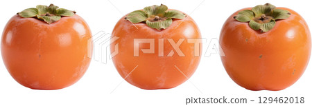 Realistic persimmon 129462018