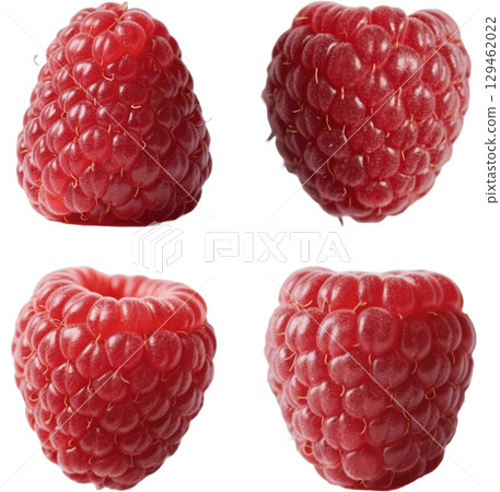 Realistic Raspberry 129462022