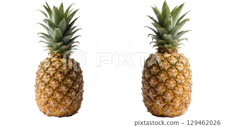 Realistic pineapple illustration 129462026