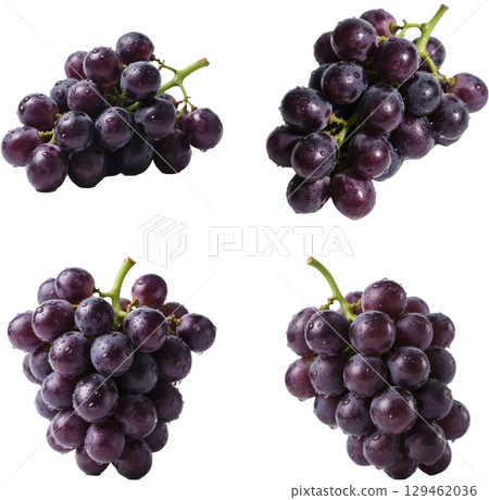 Illustration of many grapes on a white background 129462036