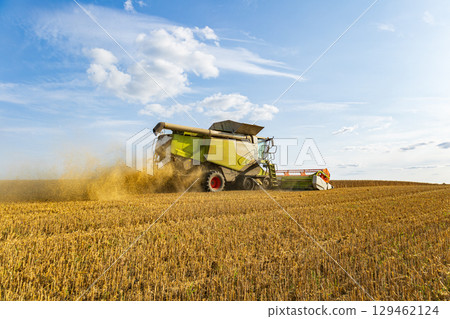 A combine harvester collects ripe crops in a golden field under a blue sky, highlighting modern farming techniques 129462124