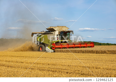 A powerful combine harvester is actively gathering wheat in a vast field on a sunny day, showcasing modern agricultural practices 129462125