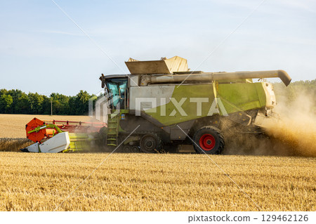 A powerful combine harvester cuts through golden wheat fields as dust rises, showcasing modern agricultural techniques in action A powerful combine harvester cuts through golden wheat fields as dust rises, showcasing modern agricultural techniques in action 129462126