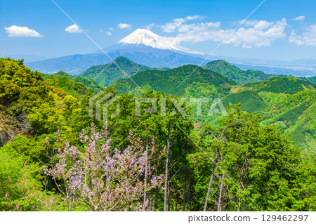 Mt. Fuji seen from Mt. Katsuragi in Izunokuni City, Shizuoka Prefecture Mt. Fuji seen from Mt. Katsuragi in Izunokuni City, Shizuoka Prefecture 129462297