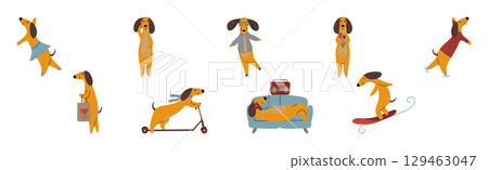 Funny Dachshund Dog Character Engaged in Different Activity Vector Set Funny Dachshund Dog Character Engaged in Different Activity Vector Set 129463047