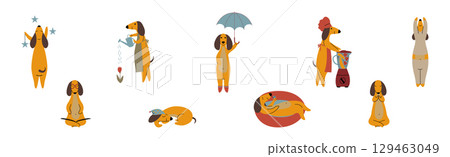 Funny Dachshund Dog Character Engaged in Different Activity Vector Set Funny Dachshund Dog Character Engaged in Different Activity Vector Set 129463049