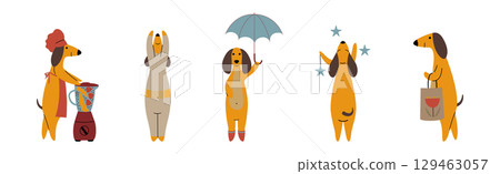 Funny Dachshund Dog Character Engaged in Different Activity Vector Set 129463057