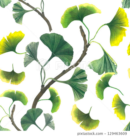 Ginkgo branch. Seamless pattern on transparent background. Watercolor illustration of ginkgo biloba branch with leaves. For textiles, design, postcards  Ginkgo branch. Seamless pattern on transparent background. Watercolor illustration of ginkgo biloba branch with leaves. For textiles, design, postcards  129463609