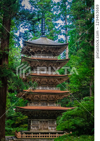 山形縣鶴岡市羽黑山五層塔 山形縣鶴岡市羽黑山五層塔 129463669