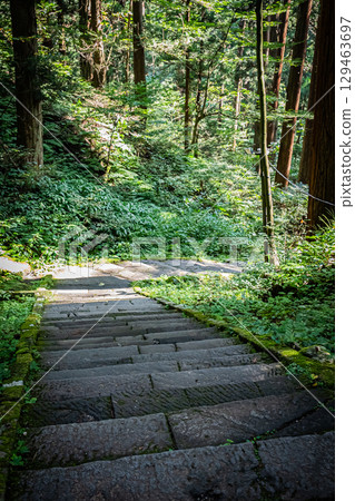 山形縣鶴岡市羽黑山五層塔 129463697