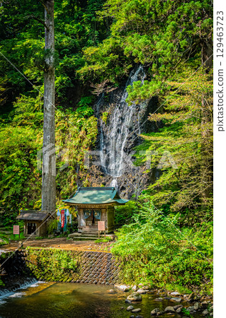 山形縣鶴岡市羽黑山五層塔 129463723