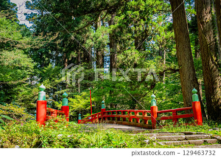 Haguroyama Five-story Pagoda, Tsuruoka City, Yamagata Prefecture Haguroyama Five-story Pagoda, Tsuruoka City, Yamagata Prefecture 129463732