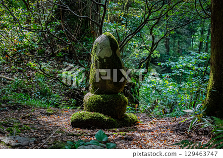 Haguroyama Five-story Pagoda, Tsuruoka City, Yamagata Prefecture 129463747