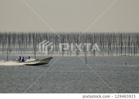 Omuta City Ariake Sea Nori field, Omuta City Ariake Sea Nori field, 129463915