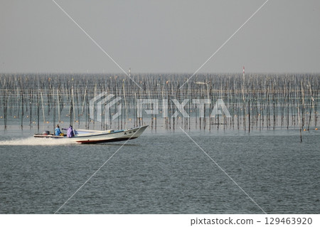 Omuta City Ariake Sea Nori field, Omuta City Ariake Sea Nori field, 129463920