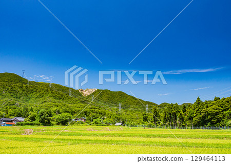 從滋賀縣高島市牧野町的田野眺望野坂山脈 從滋賀縣高島市牧野町的田野眺望野坂山脈 129464113