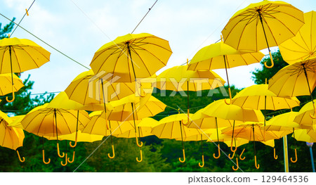 Yellow umbrellas background. Street decoration. Yellow umbrellas background. Street decoration. 129464536