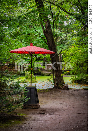 Scenery of Obihiro Shrine, Hokkaido 129464845