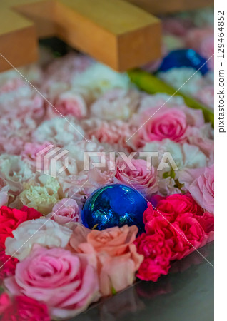 北海道帶廣神社的風景 129464852